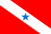 PA flag